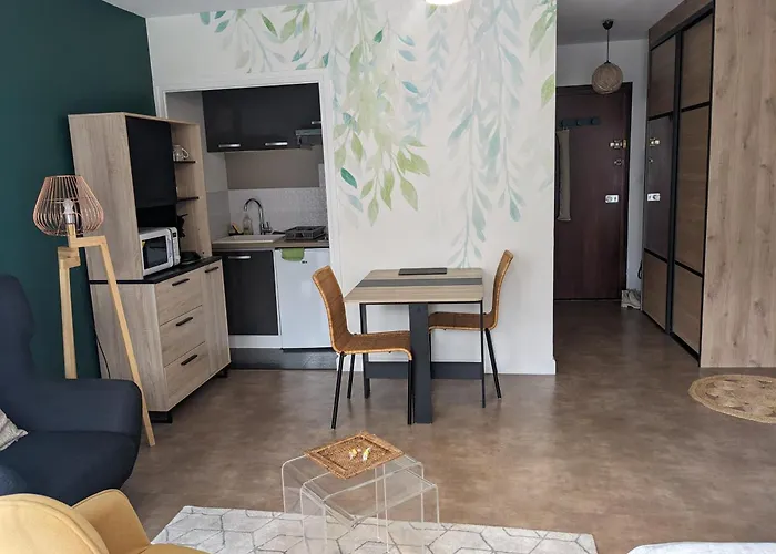 Apartment Joli Proche Des Thermes Aix-les-Bains